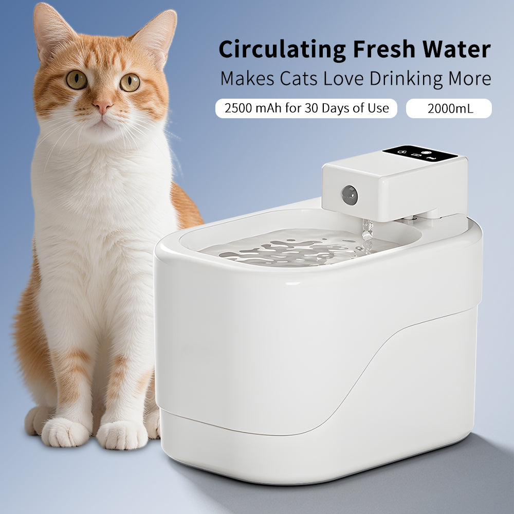 Cordless Cat Water Fountain - 2L Quiet Operation, Smart Sensing, and Cordless Convenience.