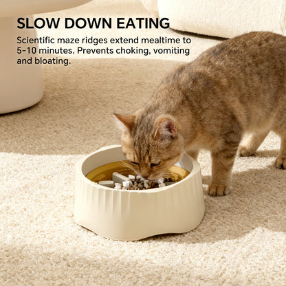 2-in-1 Slow Feeder Bowl
