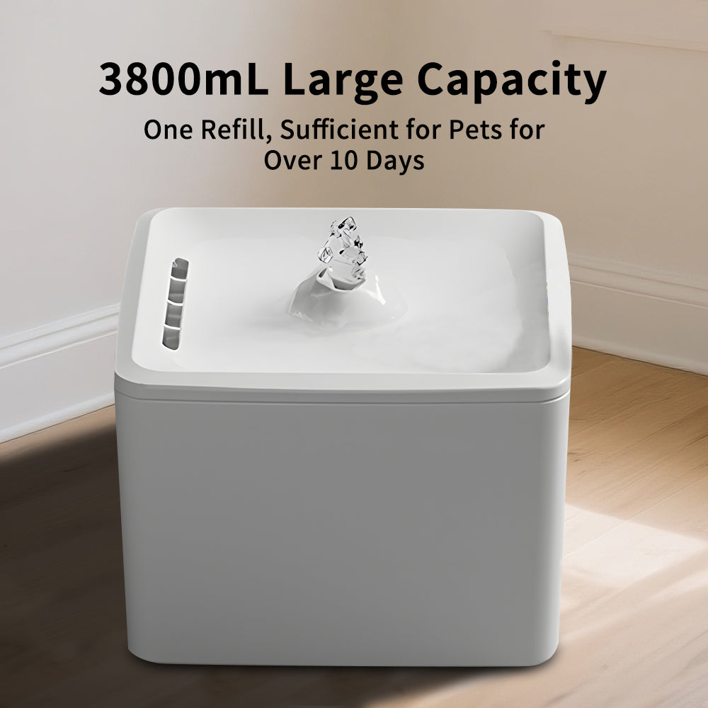 3.8L USB-Powered Pet Water Fountain