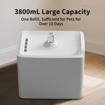 3.8L USB-Powered Pet Water Fountain