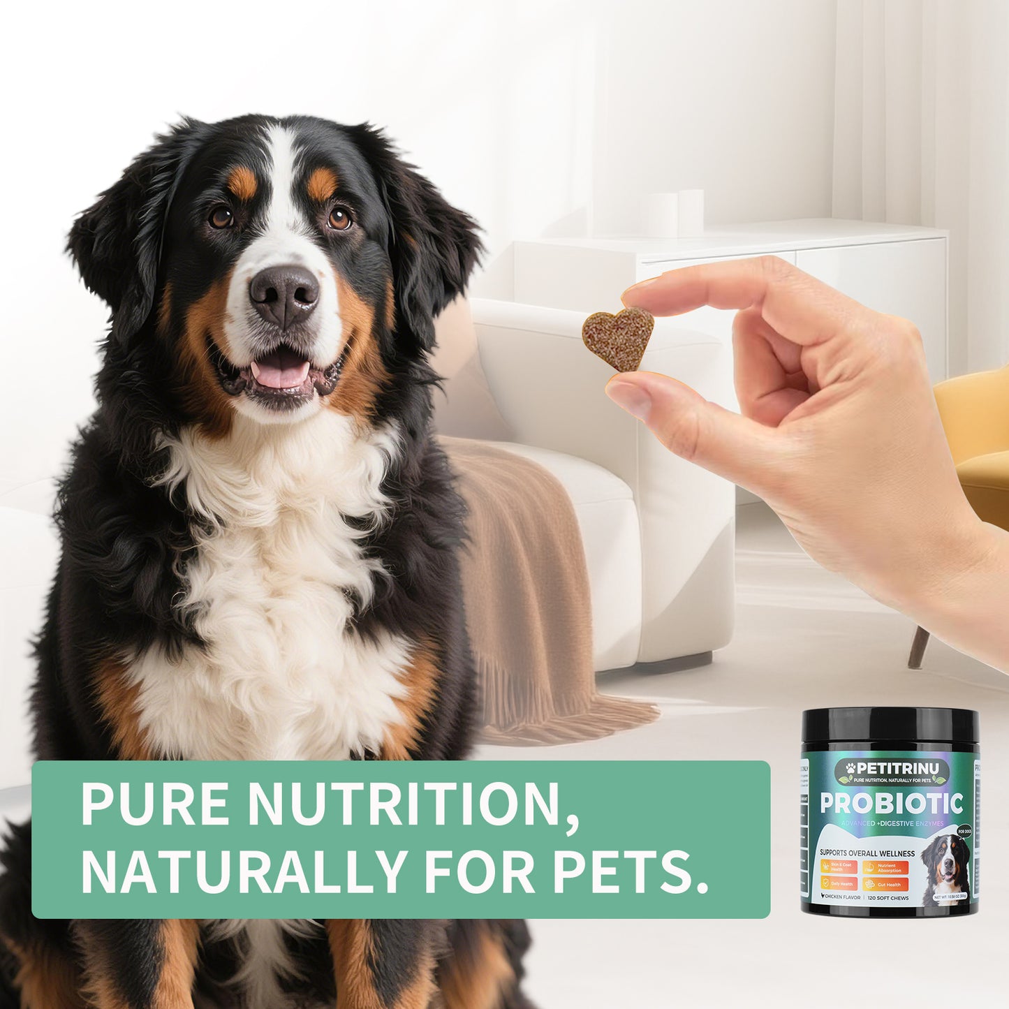 Probiotic(Chicken Flavor|120 Soft Chews)