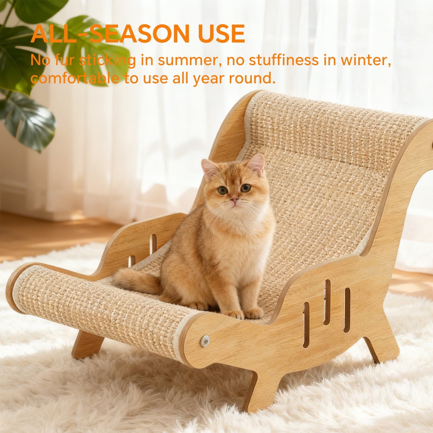Modern Wooden Cat Lounge Chair & Durable Sisal Scratcher